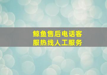 鲸鱼售后电话客服热线人工服务