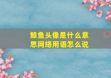 鲸鱼头像是什么意思网络用语怎么说