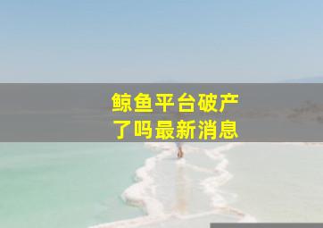 鲸鱼平台破产了吗最新消息