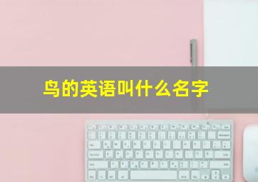 鸟的英语叫什么名字