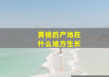 黄桃的产地在什么地方生长