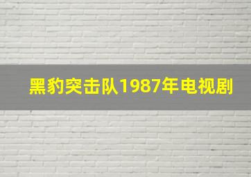 黑豹突击队1987年电视剧