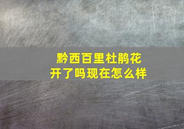 黔西百里杜鹃花开了吗现在怎么样