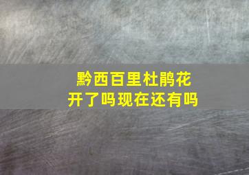 黔西百里杜鹃花开了吗现在还有吗