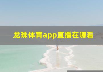 龙珠体育app直播在哪看